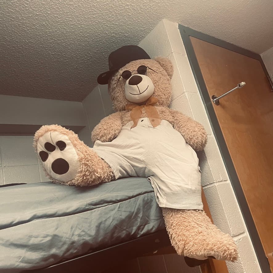 A picture of a teddy bear
